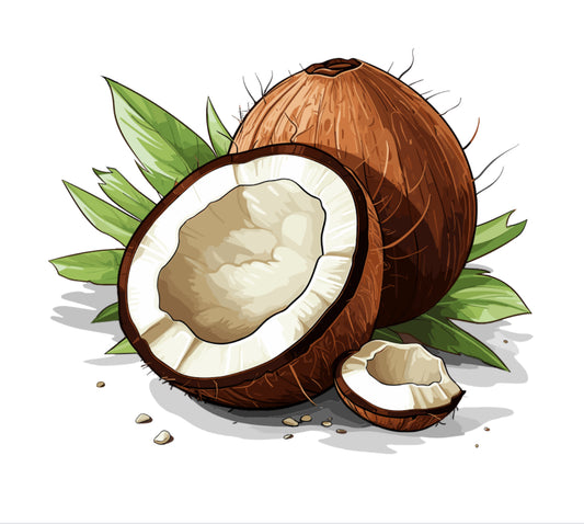 Coconut Splash Body Oil