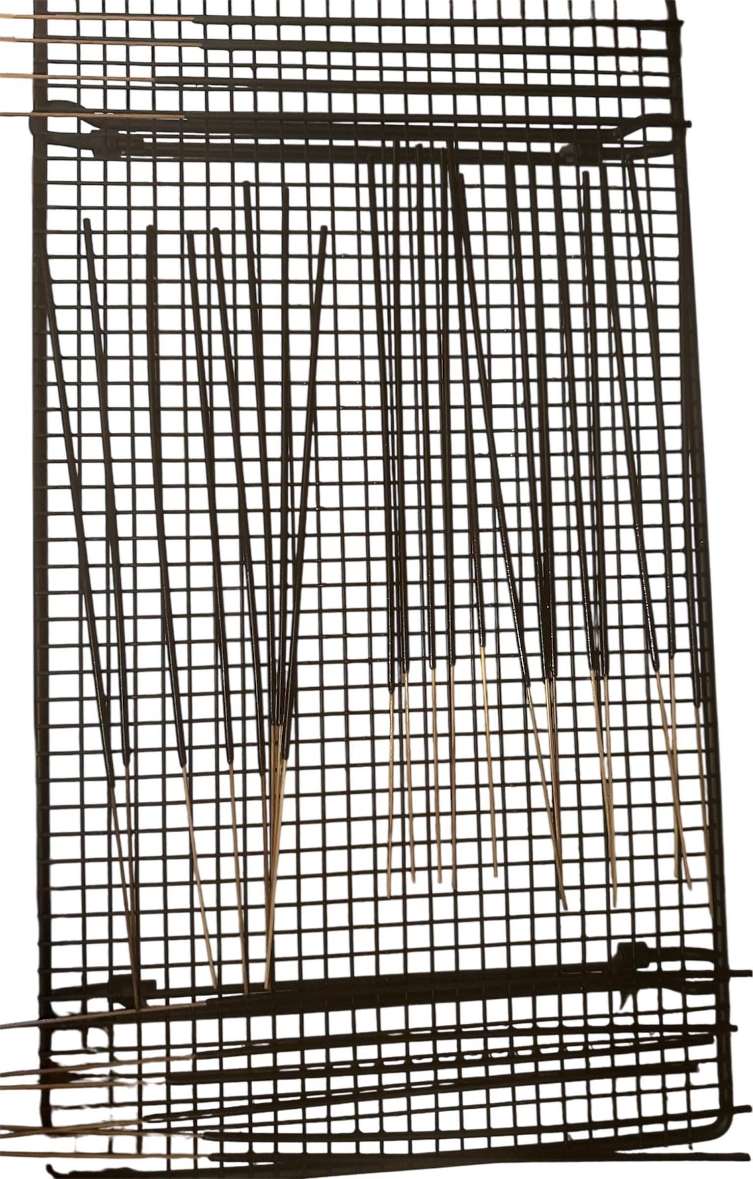 Adam's Majestic Earth Incense Sticks-10 count