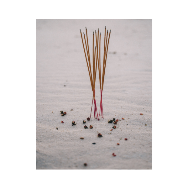 Adam's Majestic Earth Incense Sticks-10 count