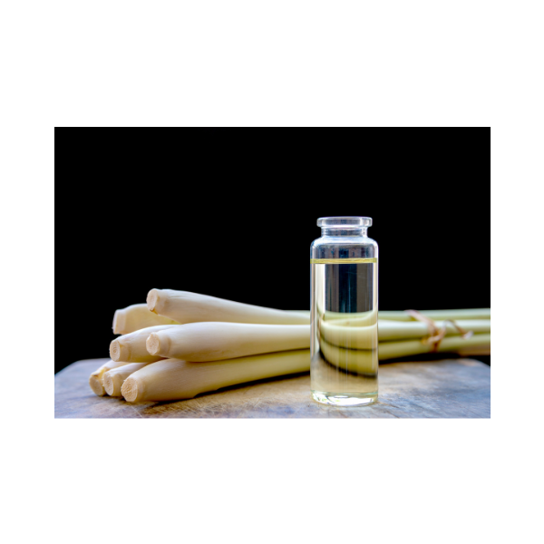 “Ernest” Intentions Body Oil